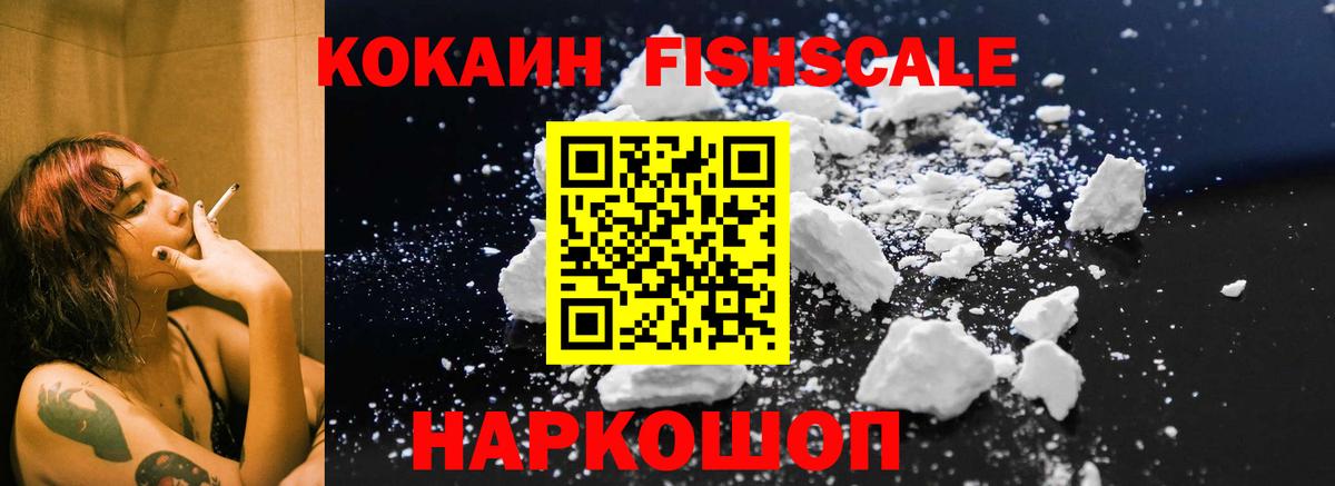 COCAIN Эквадор  COCAIN Fish Scale  Вход с VPN  Ставрополь 