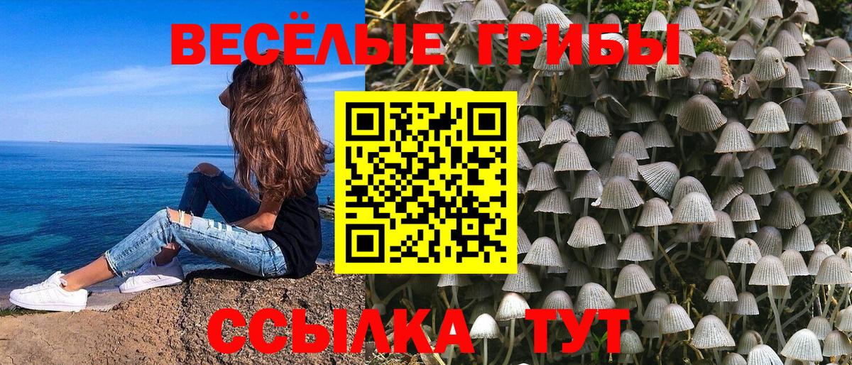 Псилоцибиновые грибы GOLDEN TEACHER Ставрополь