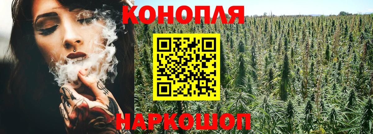 Канабис ГИДРОПОН Ставрополь
